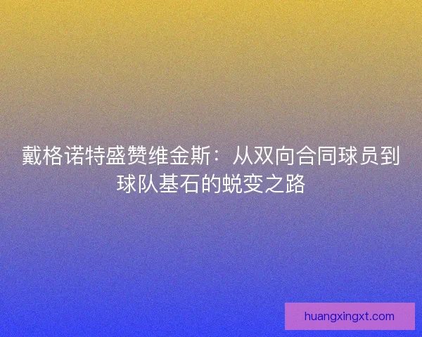 戴格诺特盛赞维金斯：从双向合同球员到球队基石的蜕变之路